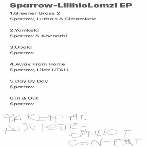 Lilihlolomzi Ep