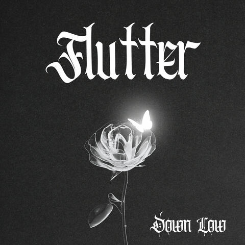 Flutter