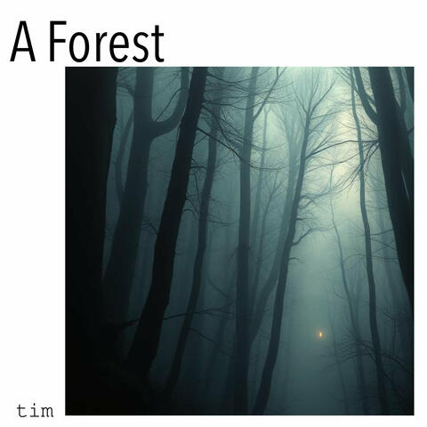 A Forest