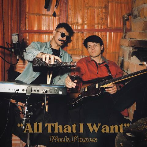 All That I Want (Live Session)