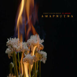 Amaphutha