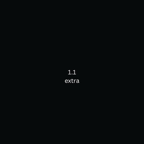 1.1 Extra