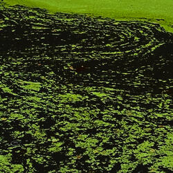 Klavierstücke-Cherokee