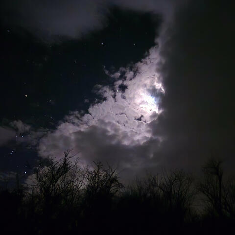 Clarity