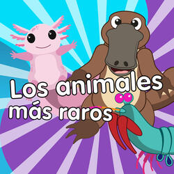 Los Animales Más Raros
