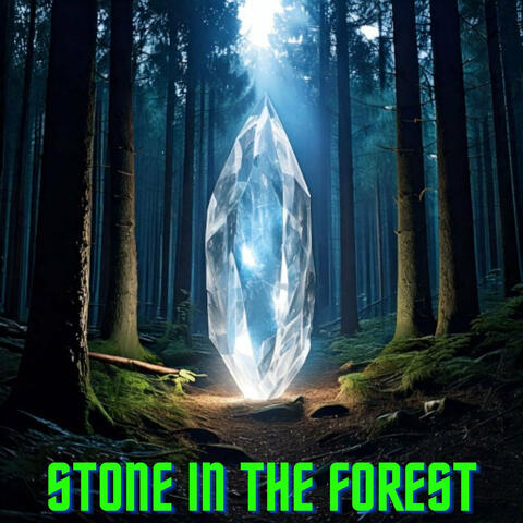 Stone in the Forest