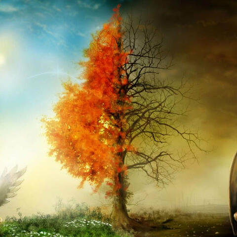 Duality