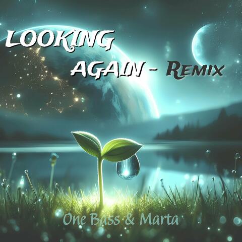 Looking Again (Remix)