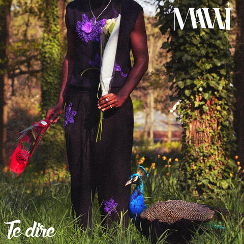 Te dire
