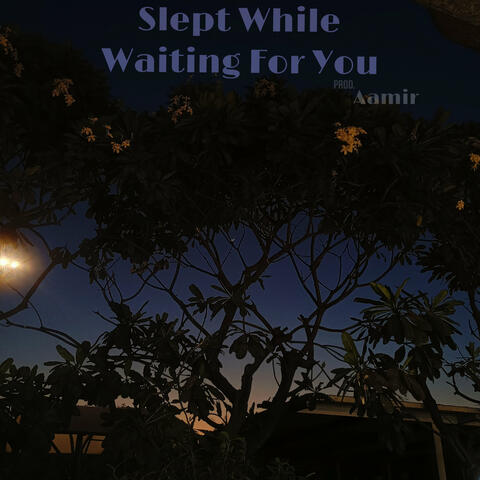 Slept While Waiting for You
