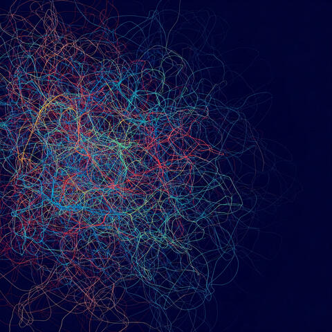 Lines of Connection