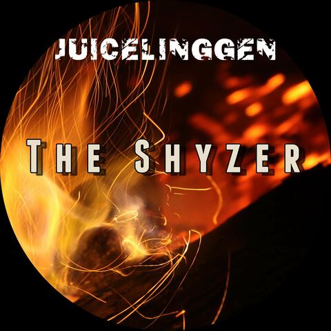 The Shyzer