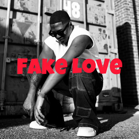 Fake Love
