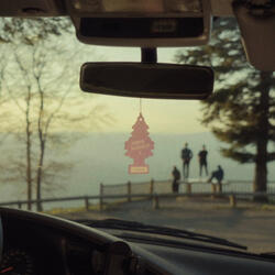 Little Pink Tree