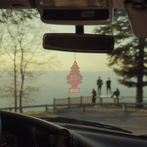 Little Pink Tree
