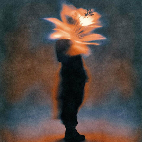 Elevation Soul