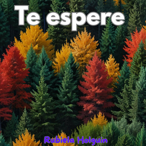 Te espere