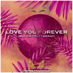 Love You Forever but Only for Tonight