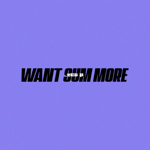 Want Sum More