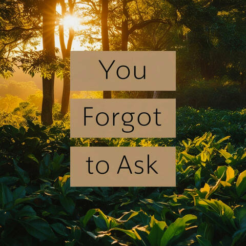 You Forgot to Ask