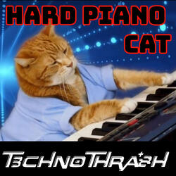Hard Piano Cat