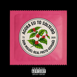 AGORA EU TO SOLTEIRO! (CAMISA 73')