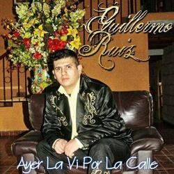 Ayer La Vi Por La Calle (Ã‰xitos Con Banda Sinaloense)