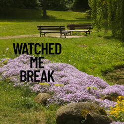 Watched Me Break