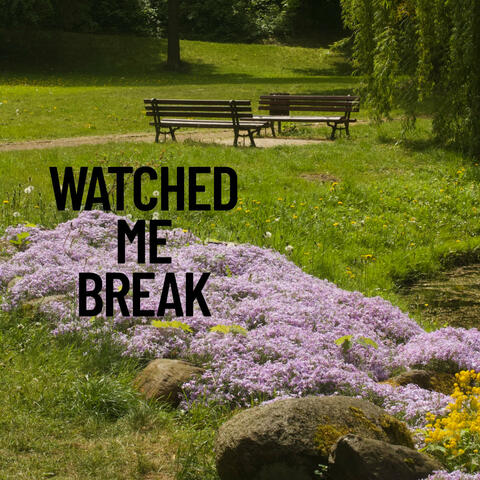 Watched Me Break
