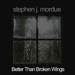 Better Than Broken Wings