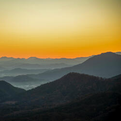 Nocturnal Dawn