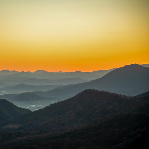 Nocturnal Dawn