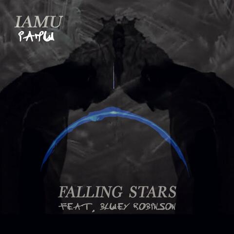 Falling Stars (Foodoo Remix)