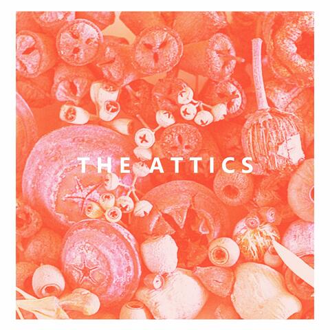 The Attics