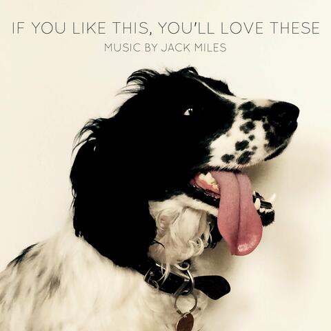 If You Like This, You'll Love These