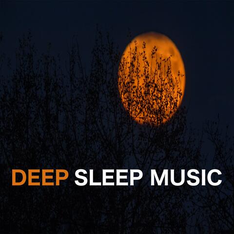 Deep Sleep Music