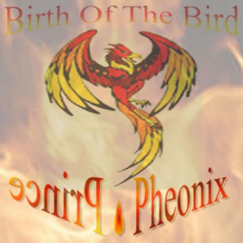 Birth of the Bird