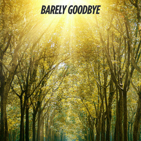 Barely Goodbye