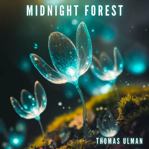 Midnight Forest