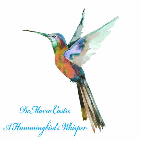 A Hummingbird's Whisper