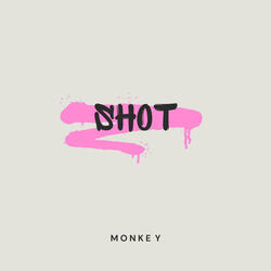Shot