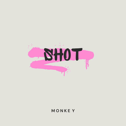 Shot