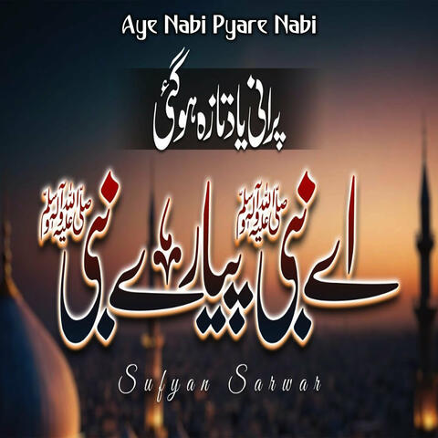 Aye Nabi Pyare Nabi