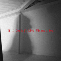 If I Couldn't Live Without You