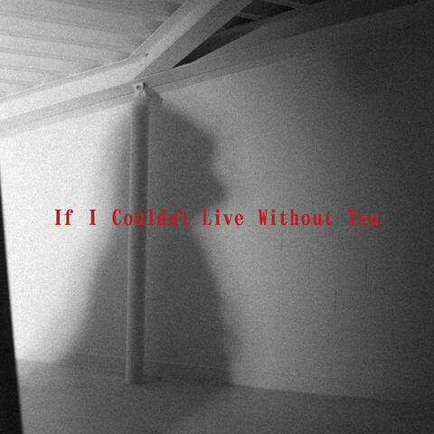 If I Couldn't Live Without You