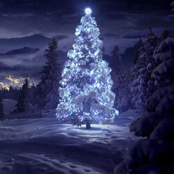 Silent Night
