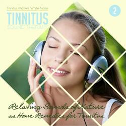 A Weekend Away from the City (Cricket Sounds at Night) [Listen to Call Cricket to Get Rid of Tinnitus]