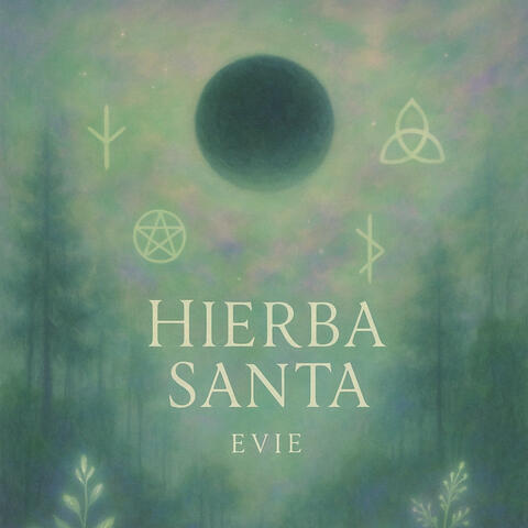 Hierba Santa