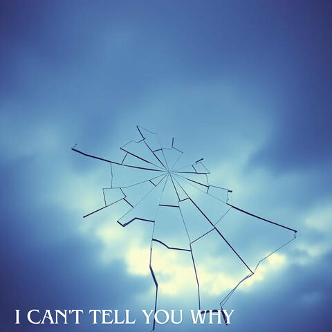 I Can't Tell You Why