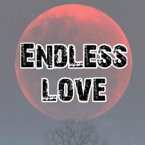 Endless Love